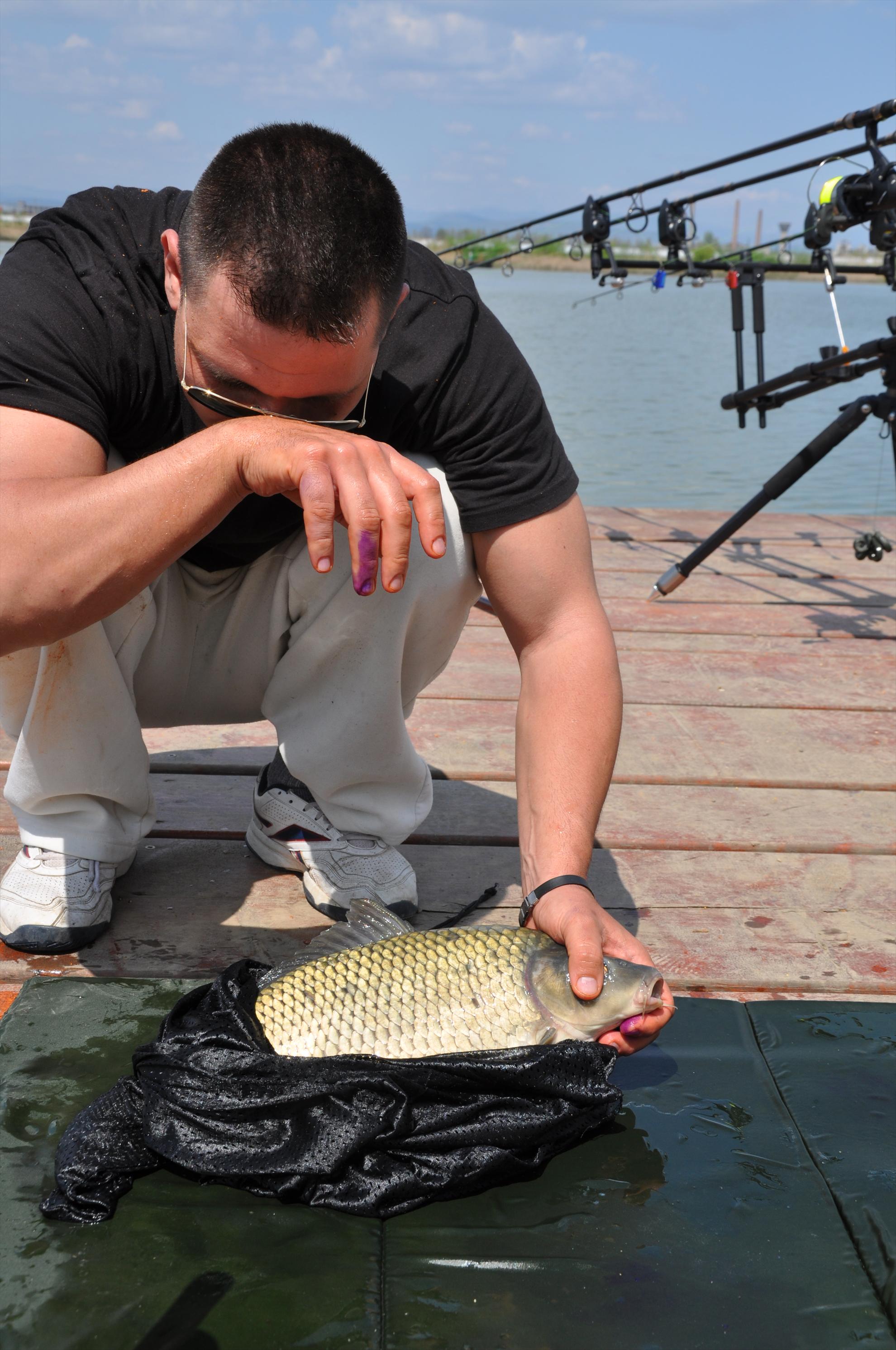 GALERIE FOTO TROFEUL USAMV - PLEASA 2 - dsc0505.JPG